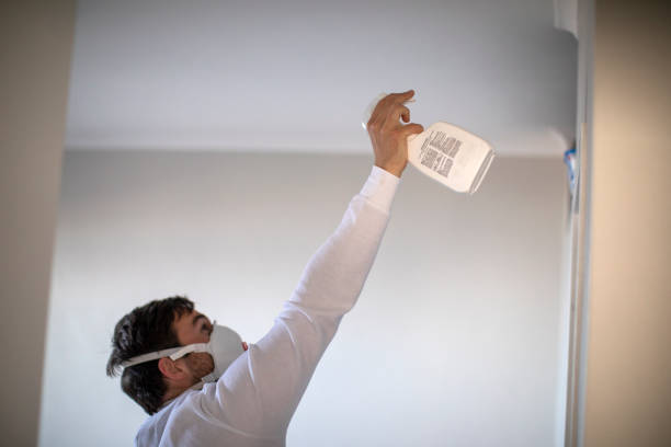 Best Black Mold Remediation in Abbeville, GA