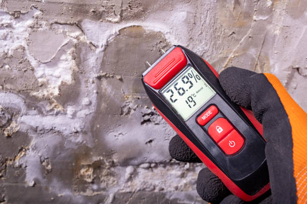Best Basement Mold Remediation in Abbeville, GA